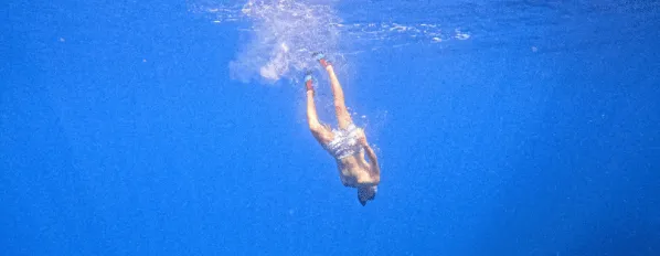 Descripción de la imagen